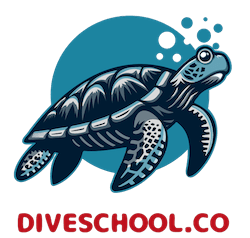 DiveSchool